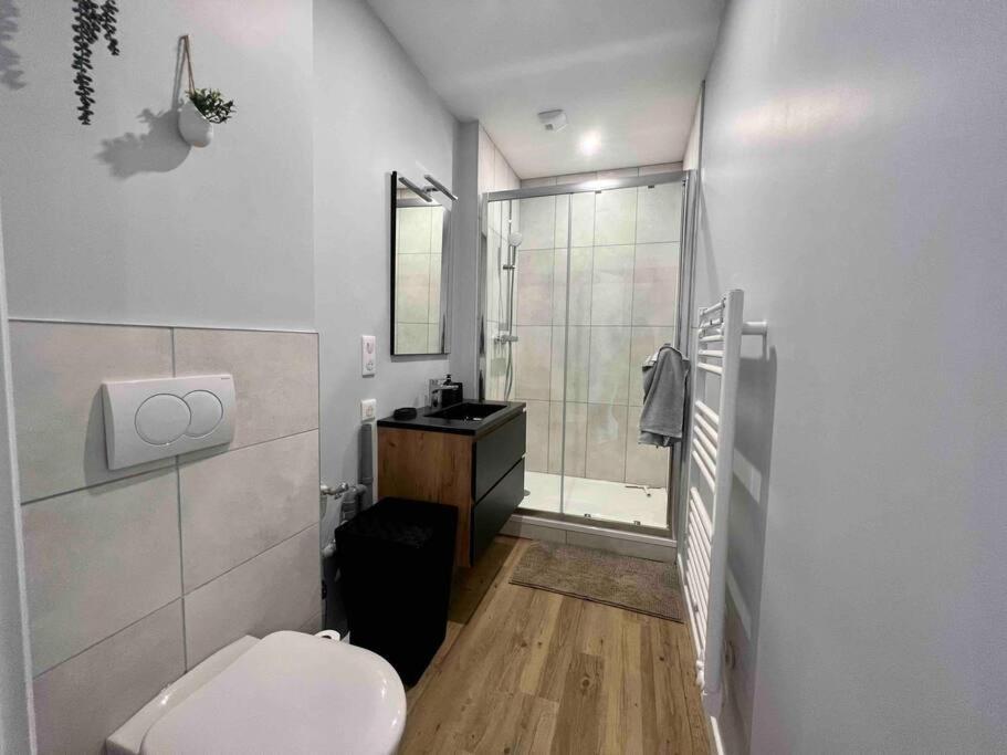Appartement Climatise 4 Personnes / Centre-Ville Безансон Екстер'єр фото
